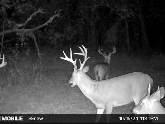 2nd image of 0 Camelback Rd