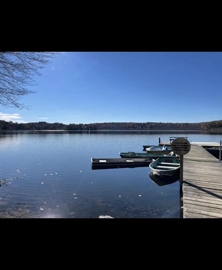 2 bed, 980 sqft, $2,600 — Photo 3