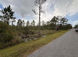 Lincoln Rd, Saint Cloud, FL 34773