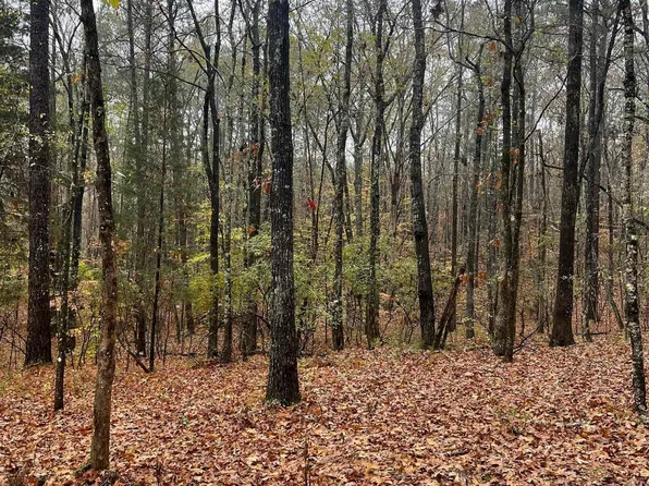 1 Haven Hill Ln #1, Sterrett, AL 35147