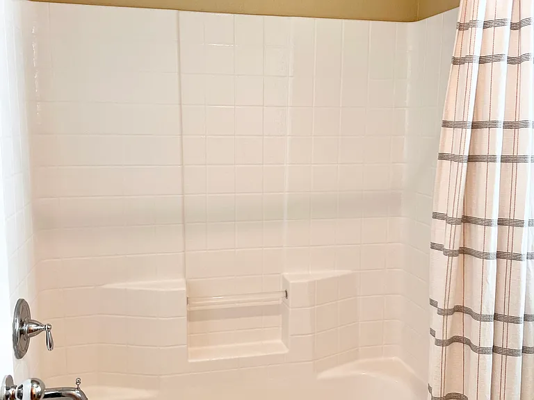 Guest Bath & Shower
