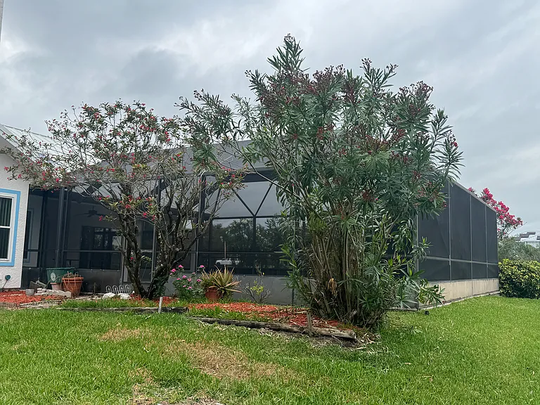 317 Lanternback Island Dr — Photo 21