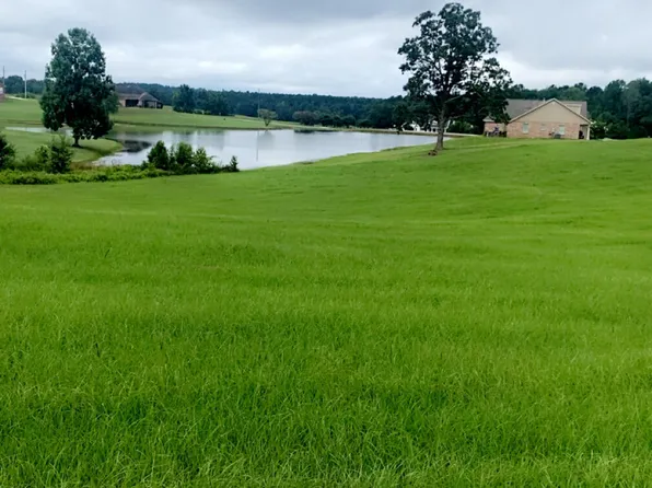 26 Lakeview Dr, Union, MS 39365