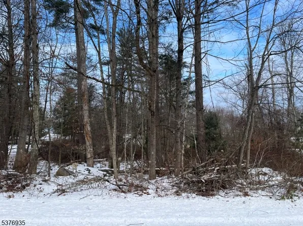 260 Old Chimney Ridge Rd, Montague Twp., NJ 07827