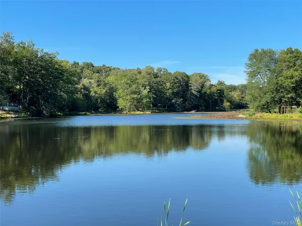 tbd Lake Shore Drive, Pine Bush, NY 12566