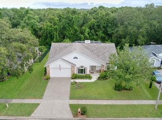 7406 Mint Julep Dr, Riverview, FL 33578