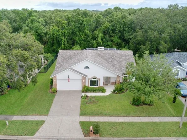 7406 Mint Julep Dr, Riverview, FL 33578