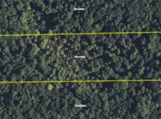 0 Gray Rd #10, Harpursville, NY 13787