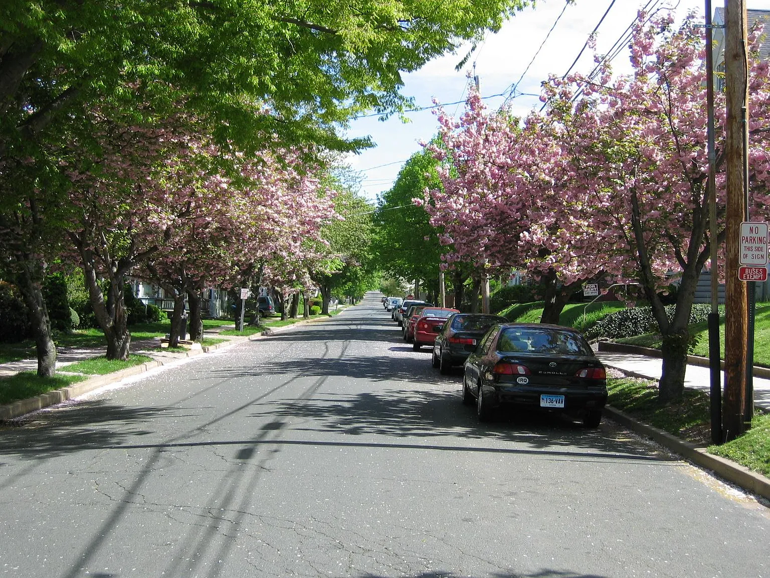 1 bed, 950 sqft, $1,850 — Photo 2