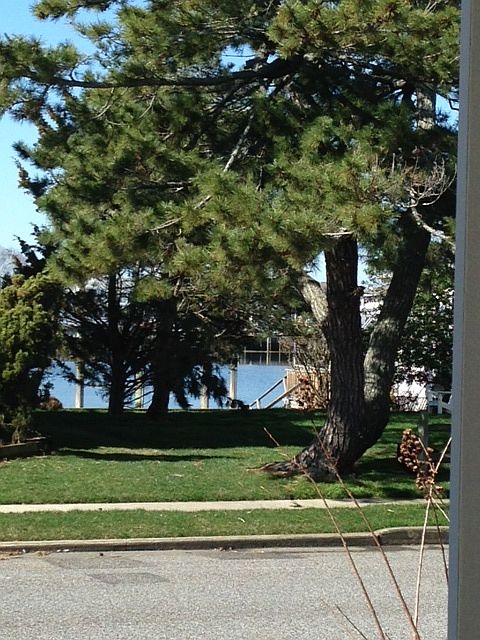 Inlet view from front porch