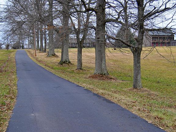 tree lined driveway