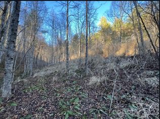 None, Marshall, NC 28753