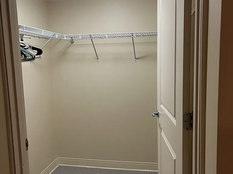 Walk-in closet in hallway.