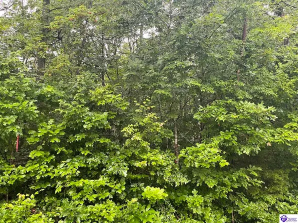 Robbin Ln, Cub Run, KY 42729