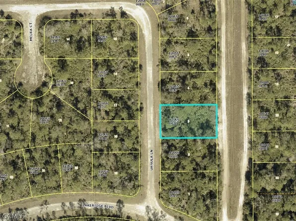 354 Ursula Ln, Lehigh Acres, FL 33972