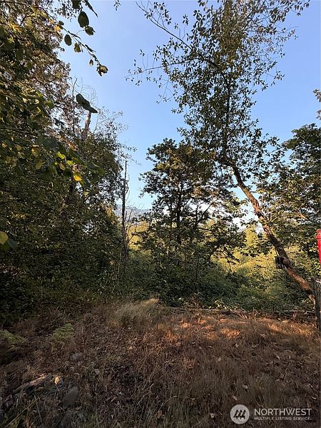 3rd image of 15620 Goldbar Drive