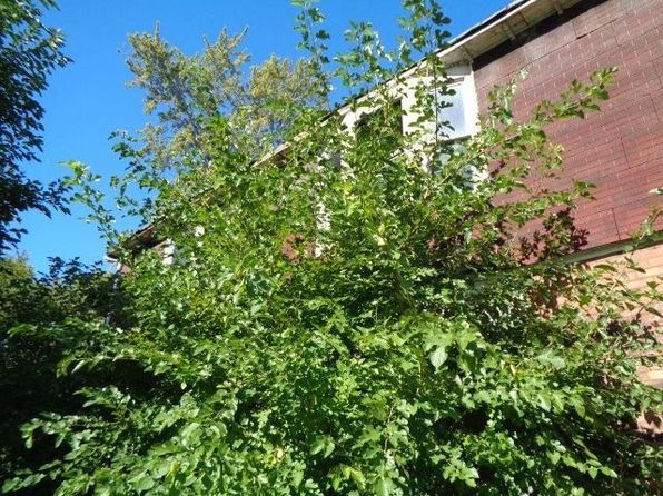 detroit-michigan-88610954 picture