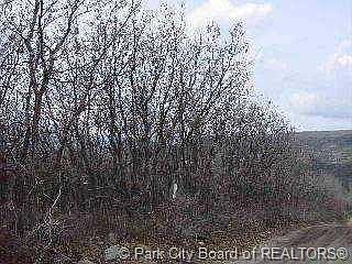 1st image of 879 S Spurwood Dr #879