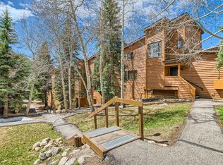 470 Tennis Club Rd UNIT 1324, Montezuma, CO 80435