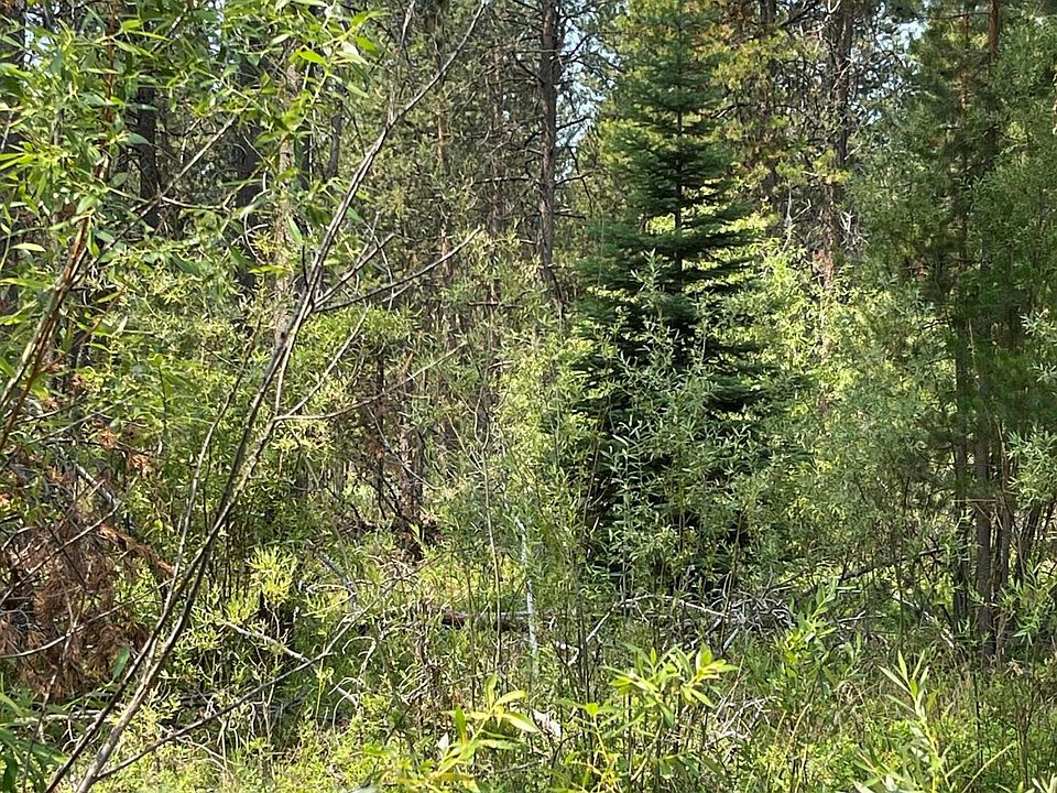 2nd image of 55365 Heierman Dr