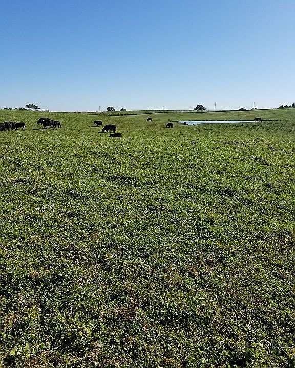 Easy to maintain, all gently