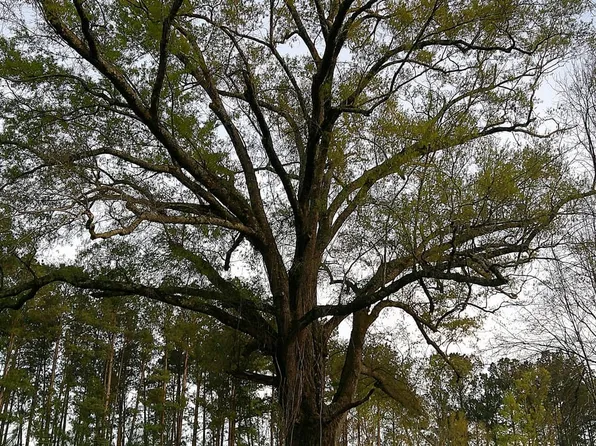 2837 State Highway 59, Midville, GA 30441