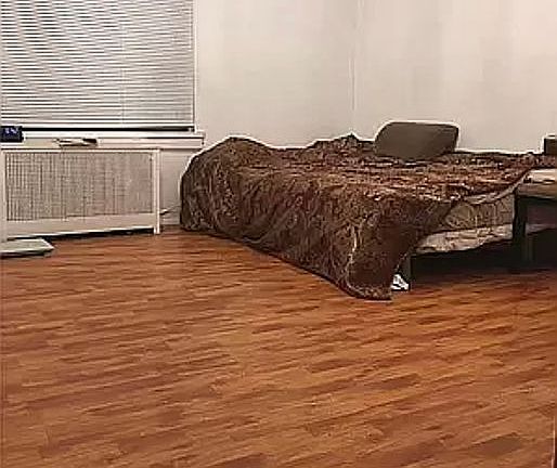 5th image of 2161 E 26th St