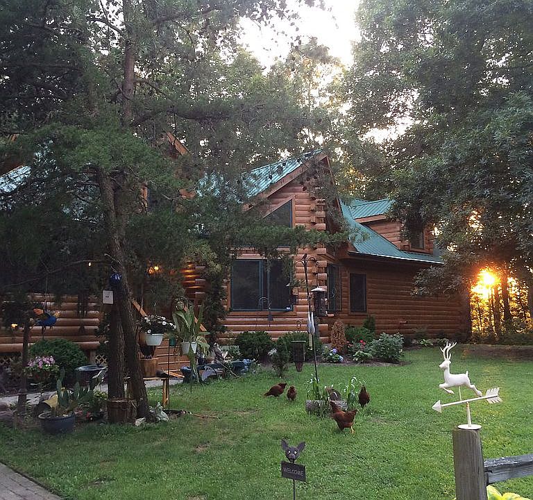 Free Range Chicken Heaven!