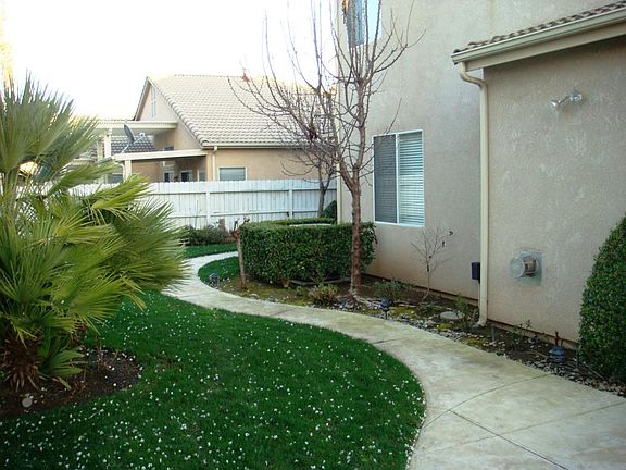 east fence from patio