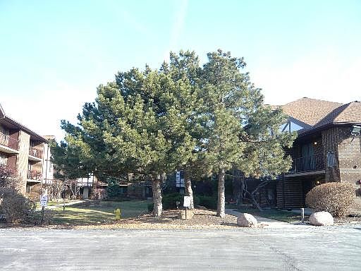 3rd image of 915 N York St APT 501