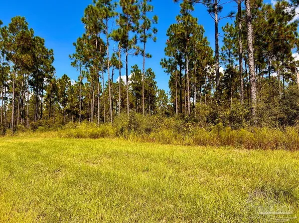 21 Morgan Ln, Molino, FL 32577