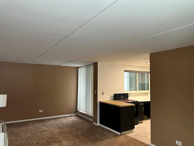 366 W Miner St #2A — Photo 17