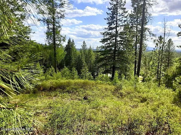 L2 Rimrock Ridge Ests, Hayden, ID 83835