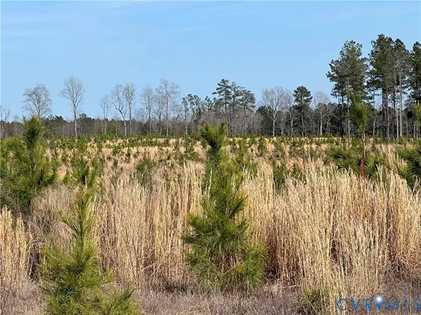 0 Hobbs Mill Rd, Dinwiddie, VA 23894