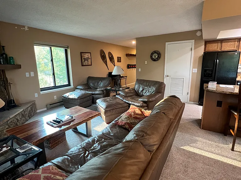 4827 Ryan Gulch Rd #4827 — Photo 9
