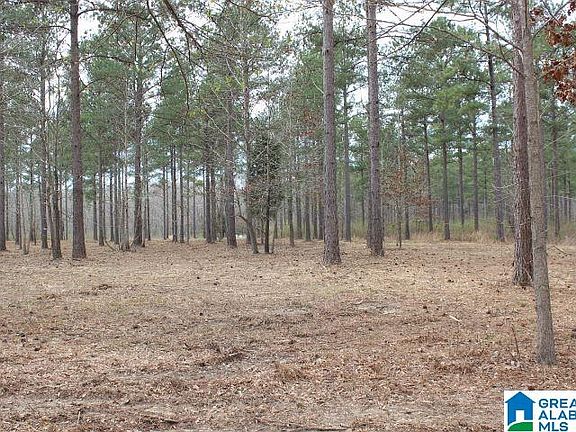 5th image of Liberty Shores Blvd Lot 4B