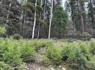141 Back Basin Rd, Angel Fire, NM 87710
