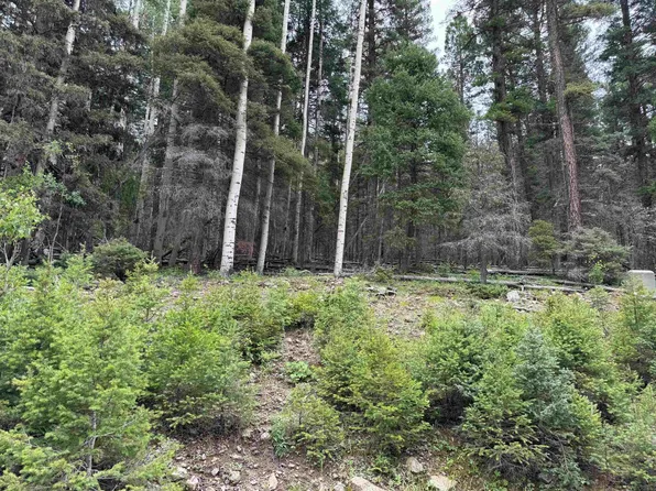 141 Back Basin Rd, Angel Fire, NM 87710