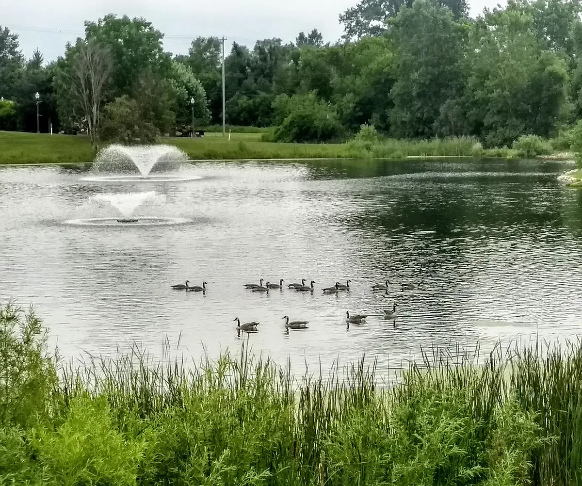 Pond view from Condo - 3903 Sierra Hts