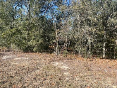 NE 152nd Ter LOT 5, Williston, FL, 32696