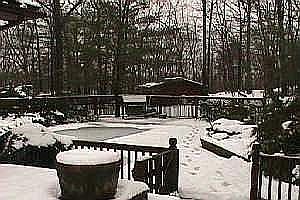 deck & pool area