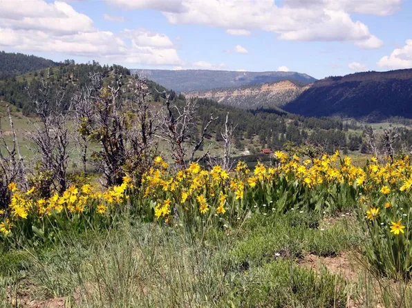 764 Irwins Place, Chromo, CO 81128