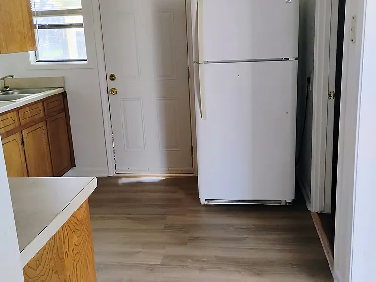 Backdoor to yard through the kitchen