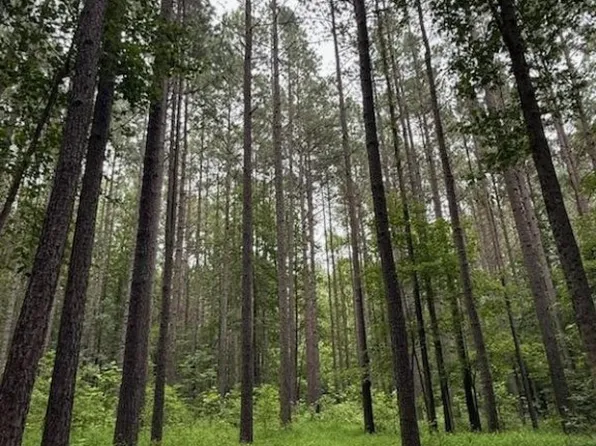 Pridesville Rd #B, Amelia Court House, VA 23002