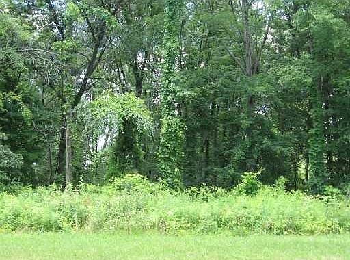 1st image of 102 Woodland Way