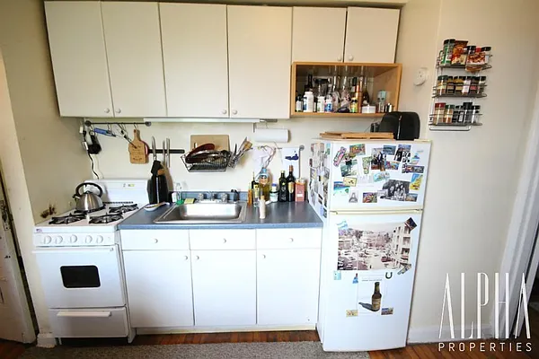 Rented by Alpha Properties NYC I LLC | media 13