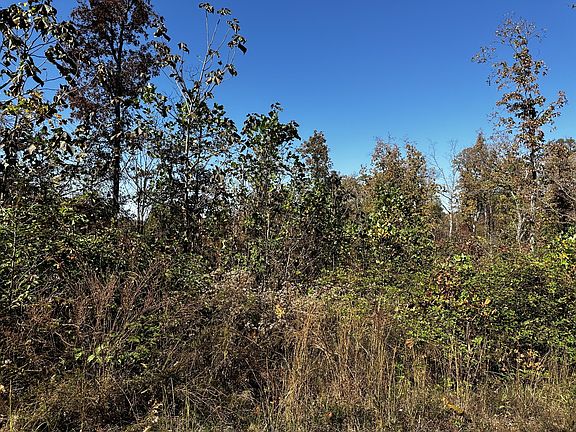 3rd image of 0 Ridge Top Rd Lot 49