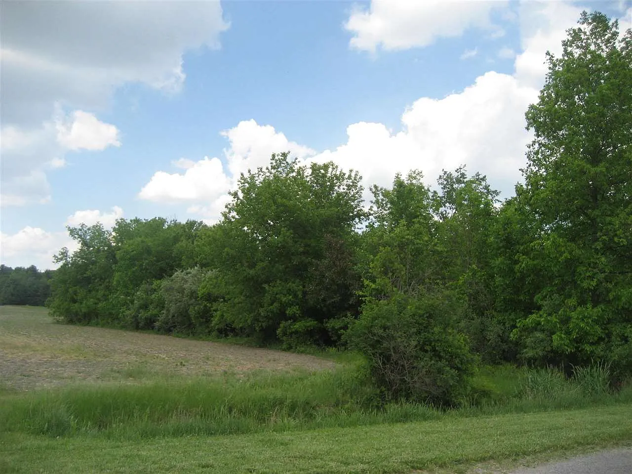 12000 Trinklein Rd photo 1