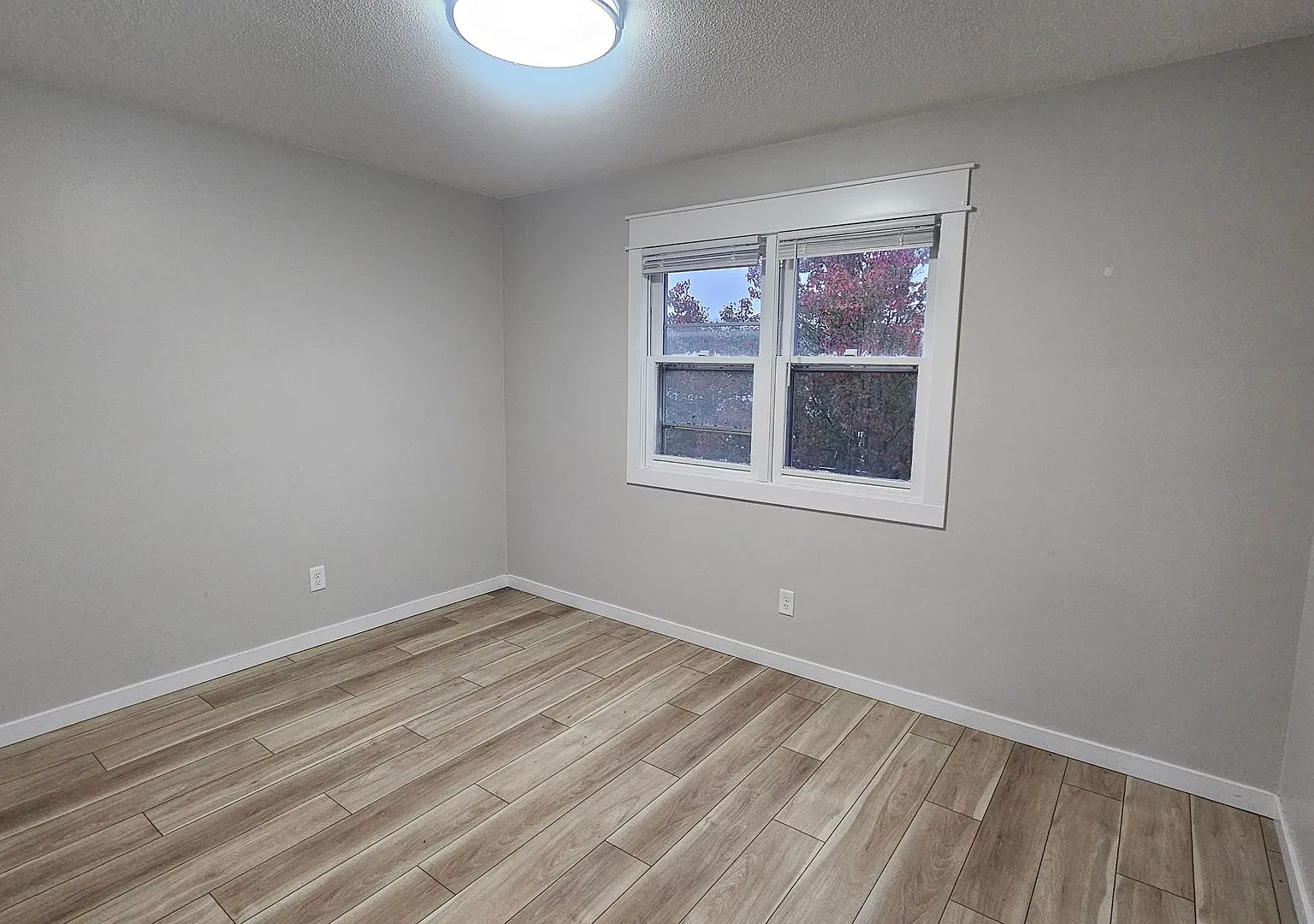 Welbeck Apartments — Photo 3