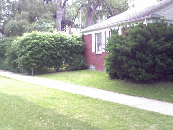 Side View